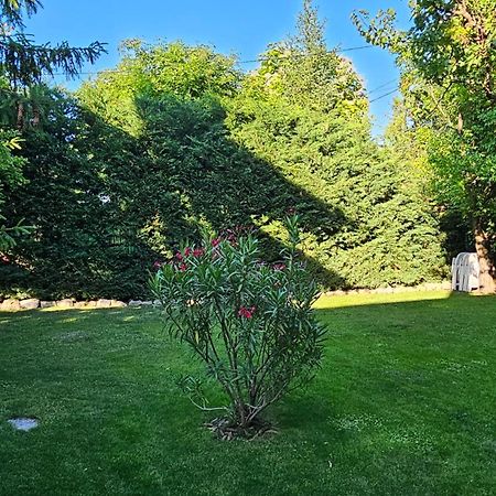 Fuered Deluxe Garden Apartment Balatonfured Bagian luar foto