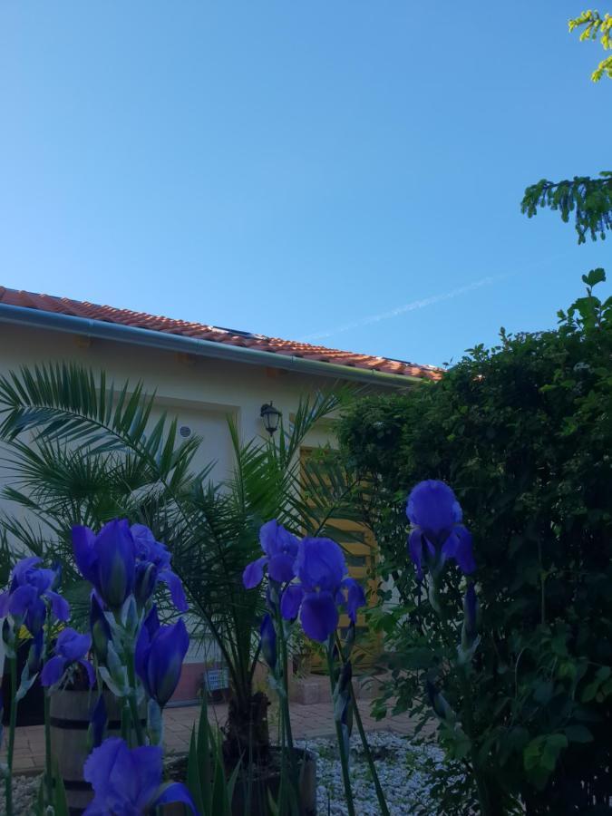 Fuered Deluxe Garden Apartment Balatonfured Bagian luar foto