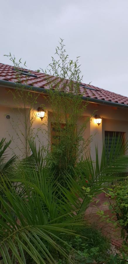Fuered Deluxe Garden Apartment Balatonfured Bagian luar foto