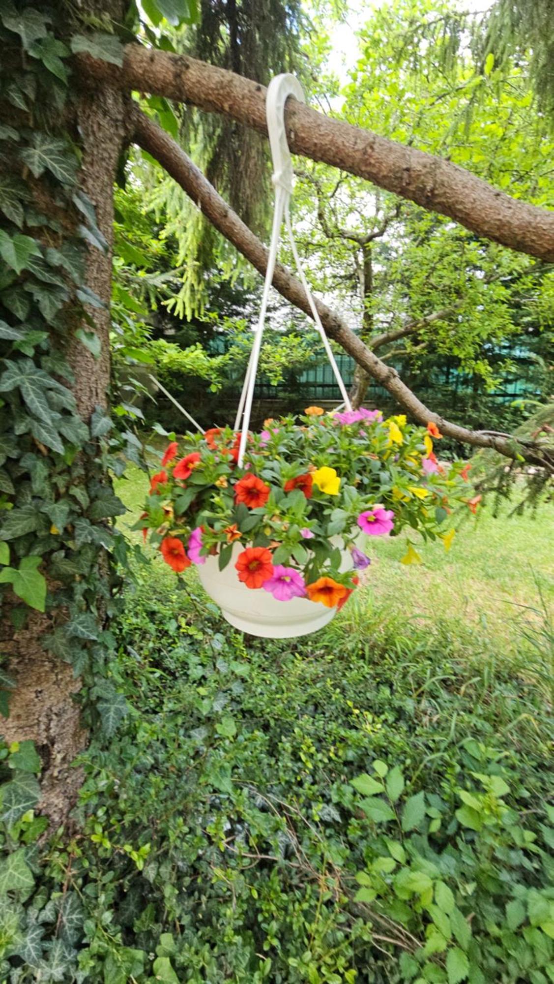 Fuered Deluxe Garden Apartment Balatonfured Bagian luar foto